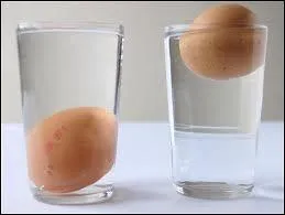 What does a fresh egg do for the day immersed in cold, salted water (preferably) ?