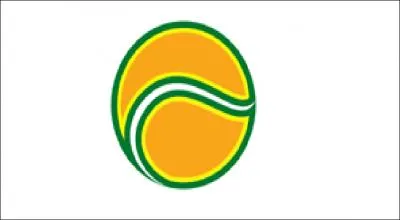 Does this logo exist?