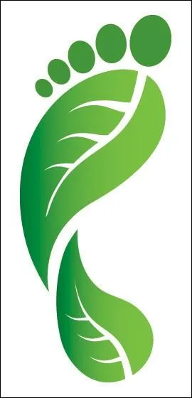 What is a Carbon footprint?