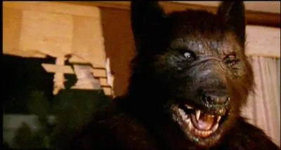 Marty, a young boy confined to a motorized wheelchair, meets a rather special priest!