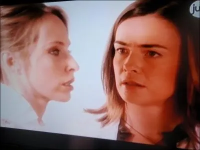 Benedicte Delmas and Tonya Kinzinger, for a series that can't stand the shade!