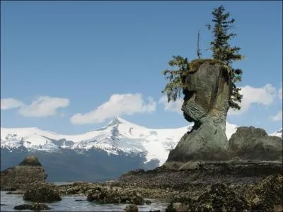 In this photo, there's no doubt you're on Easter Island!