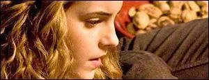 From which movie is this picture of Hermione Granger taken?