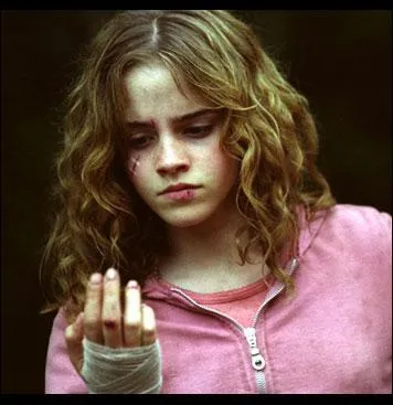 From which movie is this picture of Hermione Granger?