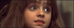 From which movie is this picture of Hermione Granger taken?