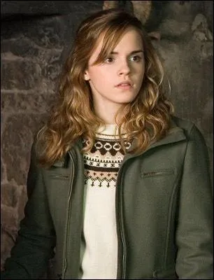 From which movie is this picture of Hermione Granger?