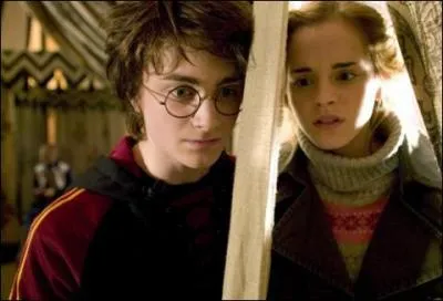 From which movie is this picture of Hermione Granger?