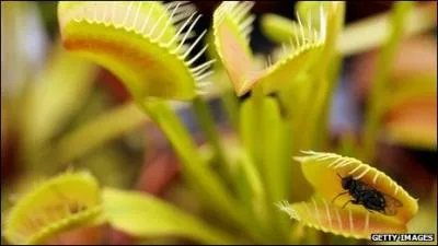 In this sport, the main accessory is always speckled !