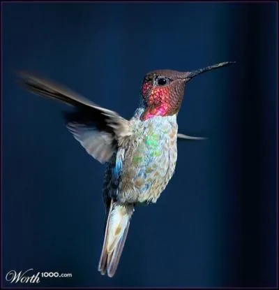 Knowing how to practice the Iron Cross is essential in this sport !