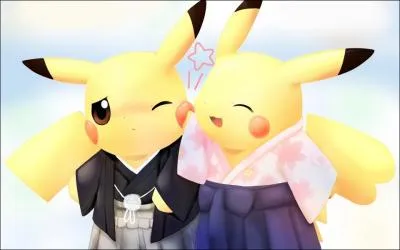 Which sign is represented?