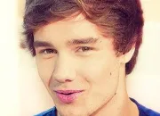 Quiz Es-tu une vraie « directioner » ?