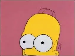 Homer sometimes has trouble with is own brain. In a well know line from the show, he asks his brain to shut up. Which one of these lines was really said by Homer ?