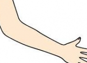 Quiz Body_parts