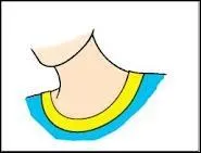 What body part is it?