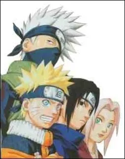 How many people Were there in team Kakashi EVER? e. g Sasuke, Sakura, Naruto, Sai...