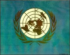 What does the emblem on the UN flag represent?