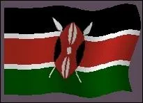 What does the image of the Kenyan flag represent?