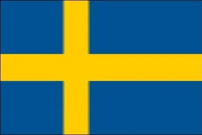 The colors of this country have been adopted by a furniture company famous for its assembly instructions.