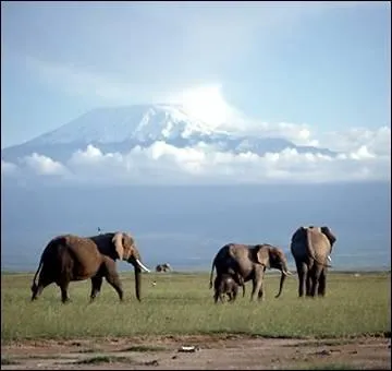 Where is this monument located? Kilimanjaro