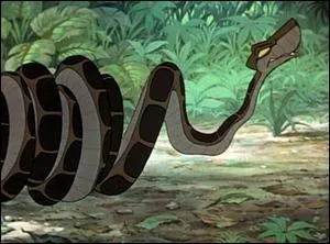 What is the race of Kaa in "The Jungle Book" ?