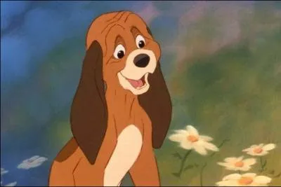 What is Rouky's breed in "Rox and Rouky" ?