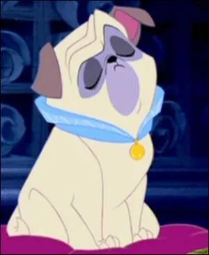 What is the breed of Percy in "Pocahontas" ?