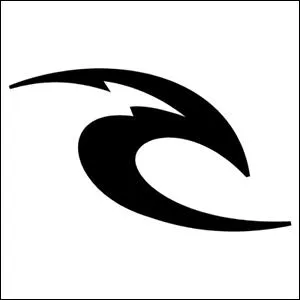 What brand does this logo belong to?