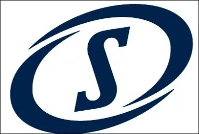 What brand does this logo belong to?