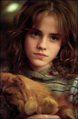 What's Hermione's cat's name?