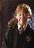 What's the name of Ron's rat?