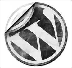 To which car company does this logo belong?