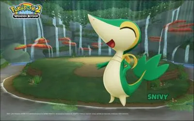 What is the name of this Pokemon?