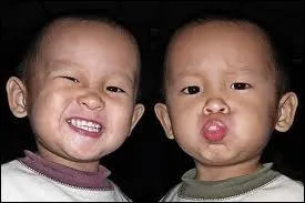 I heard the twins laughing after they had gone to bed. What were they getting (... ) to?