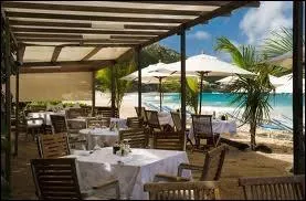 He recommended (go) to his favourite restaurant