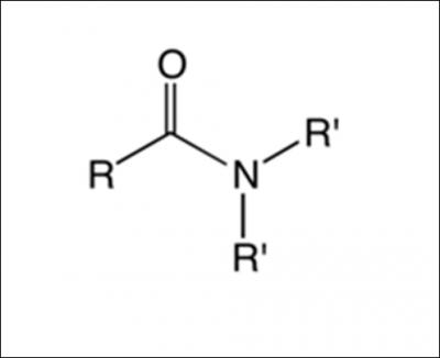 Identify the functional group.