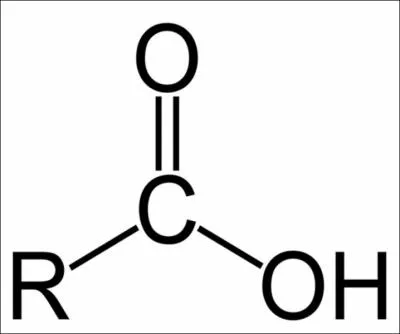 Identify the functional group.