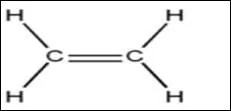 Identify the functional group.