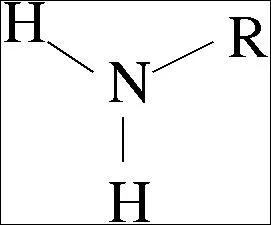 Identify the functional group.