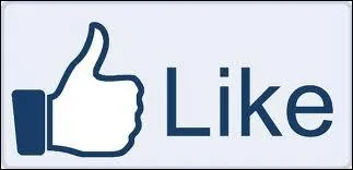 I always ____ him. And I still do.