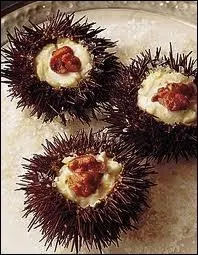 What is this echinoderm ?