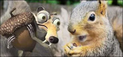 It's not that big pile of hair that's going to steal his nuts, is it? Where did he come from?