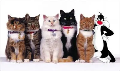 This photo contains an error. We apologize for any inconvenience... . (see you soon for n°2 ! )