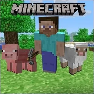 What is the name of the main character in Minecraft?