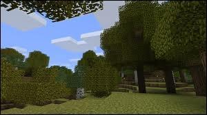 The first thing you do when you spawn in the Minecraft world is...