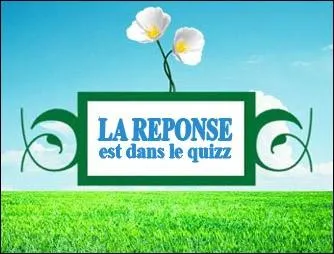 You're beautiful, it's true.