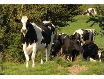 Name the Welsh farmer who has been jailed after pleading guilty to flouting bovine TB regulations.
