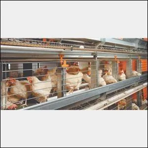 Which supermarket has the NFU condemned for their decision to move away from stocking 100 per cent British poultry meat by importing cheaper, lower standard chicken from the EU?