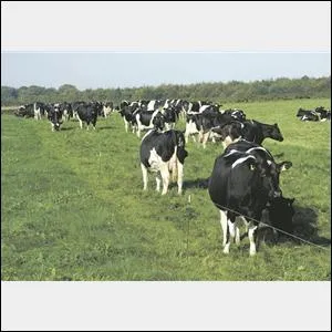 Where will the 'Future of Livestock Farming' event take place in December?