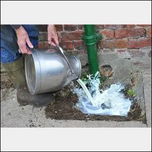 Which singer has signed up to help promote a2 Milk' in its latest PR and social media programme?