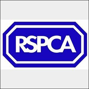 Who accused the Charity Commission of bringing the nature of charities into disrepute by failing to confront the RSPCA over its threats to farmers?